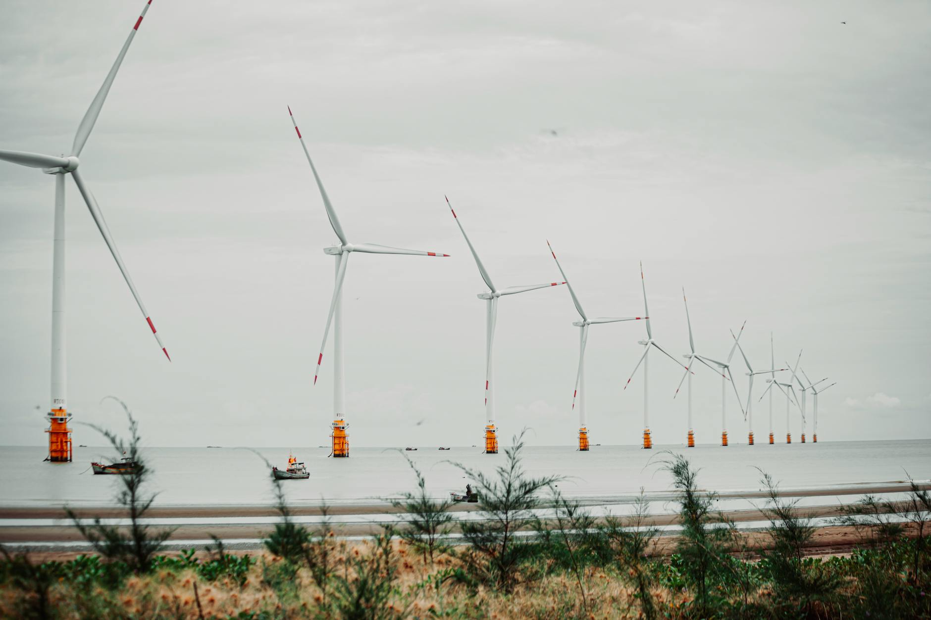 Morska farma wiatrowa na spokojnym morzu widziana znad nadbrzeżnej roślinności